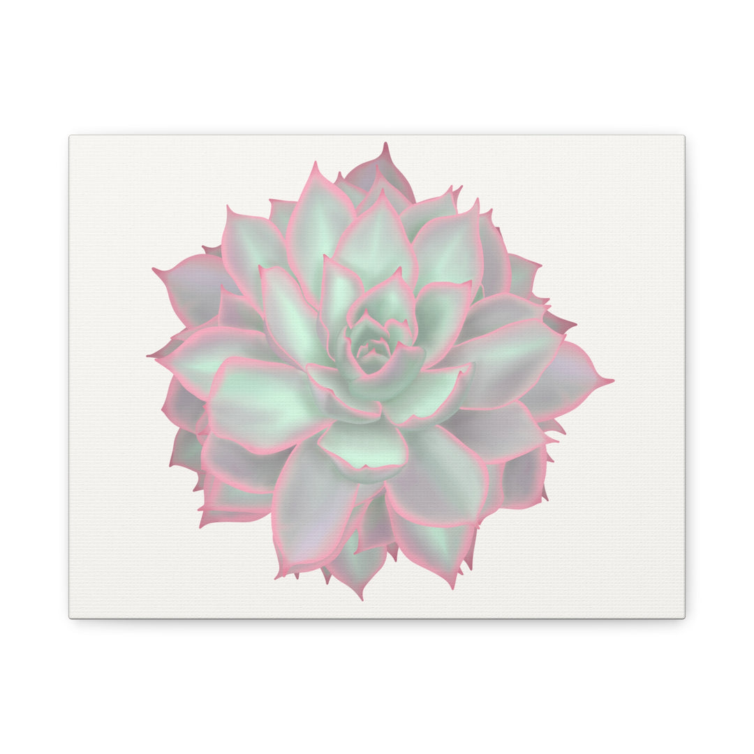 Echeveria Violet Queen Canvas Wall Art Rosette Succulent Print With Matte Finish