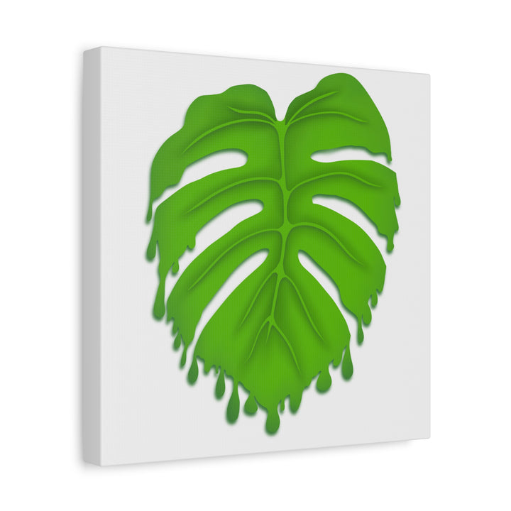 Melting Monstera Canvas Wall Art Large Botanical Print On Premium Cotton With Matte Finish For Indoor Decor