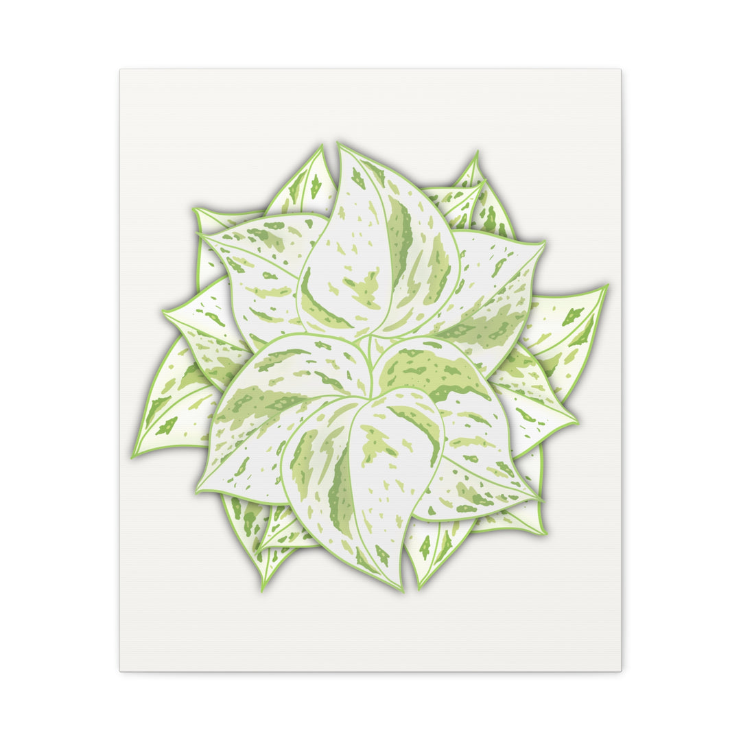 Snow Queen Pothos Canvas Wall Art Variegated Indoor Plant Leaf Poster Print Cotton Canvas