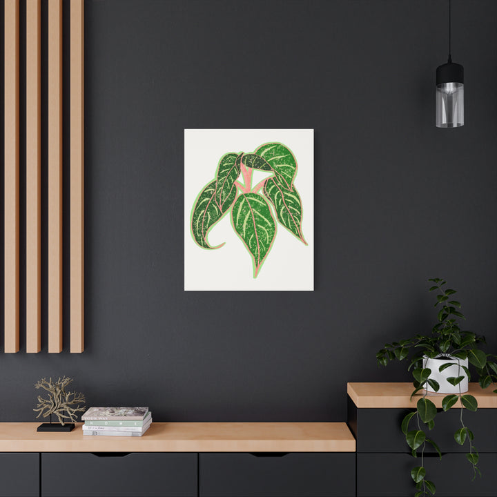 Aglaonema Sparkling Sarah Botanical Canvas Print On Matte Stretch Canvas For Modern Living Room Decor
