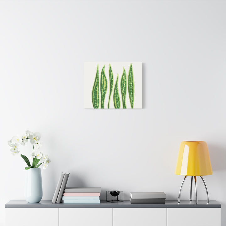Snake Plant Canvas Print Matte 1.25 Inch Stretch Canvas Wall Art For Living Room Decor
