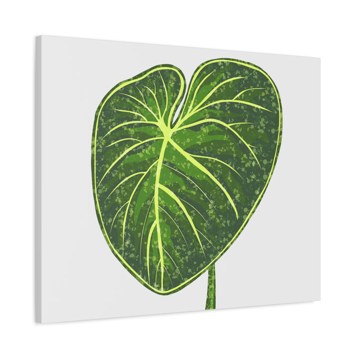 Philodendron Gloriosum Canvas Print Stretched Wall Art Botanical Leaf Print Matte Finish Gallery Wrapped Canvas