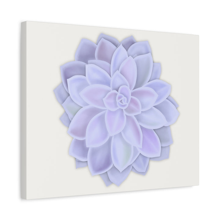 Succulent Canvas Art Pastel Rosette Canvas Durable Cotton Print Botanical Wall Art