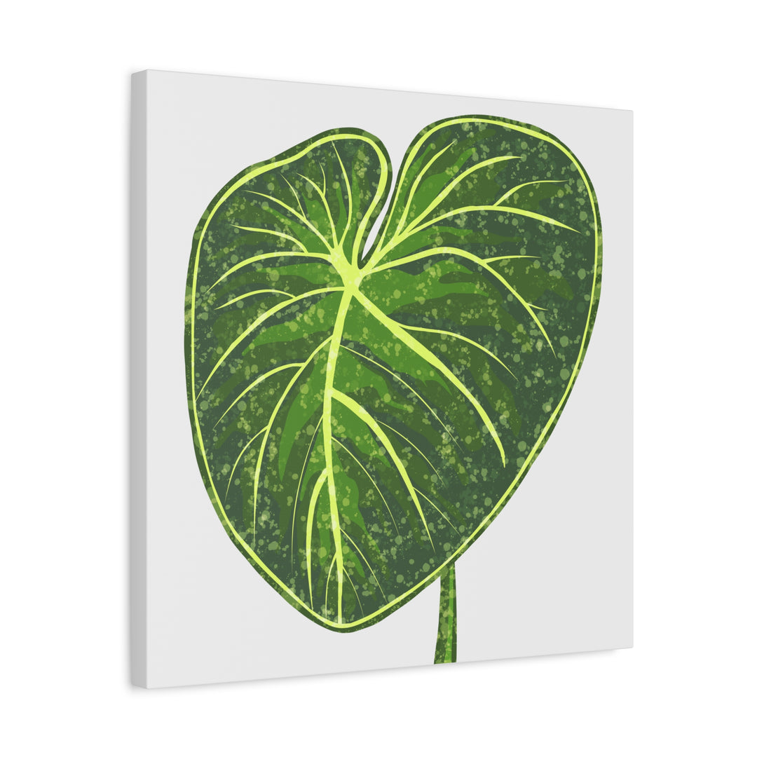 Philodendron Gloriosum Canvas Print Stretched Wall Art Botanical Leaf Print Matte Finish Gallery Wrapped Canvas