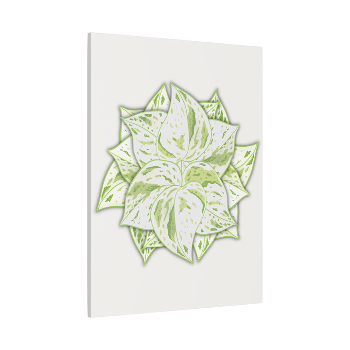 Snow Queen Pothos Canvas Wall Art Variegated Indoor Plant Leaf Poster Print Cotton Canvas