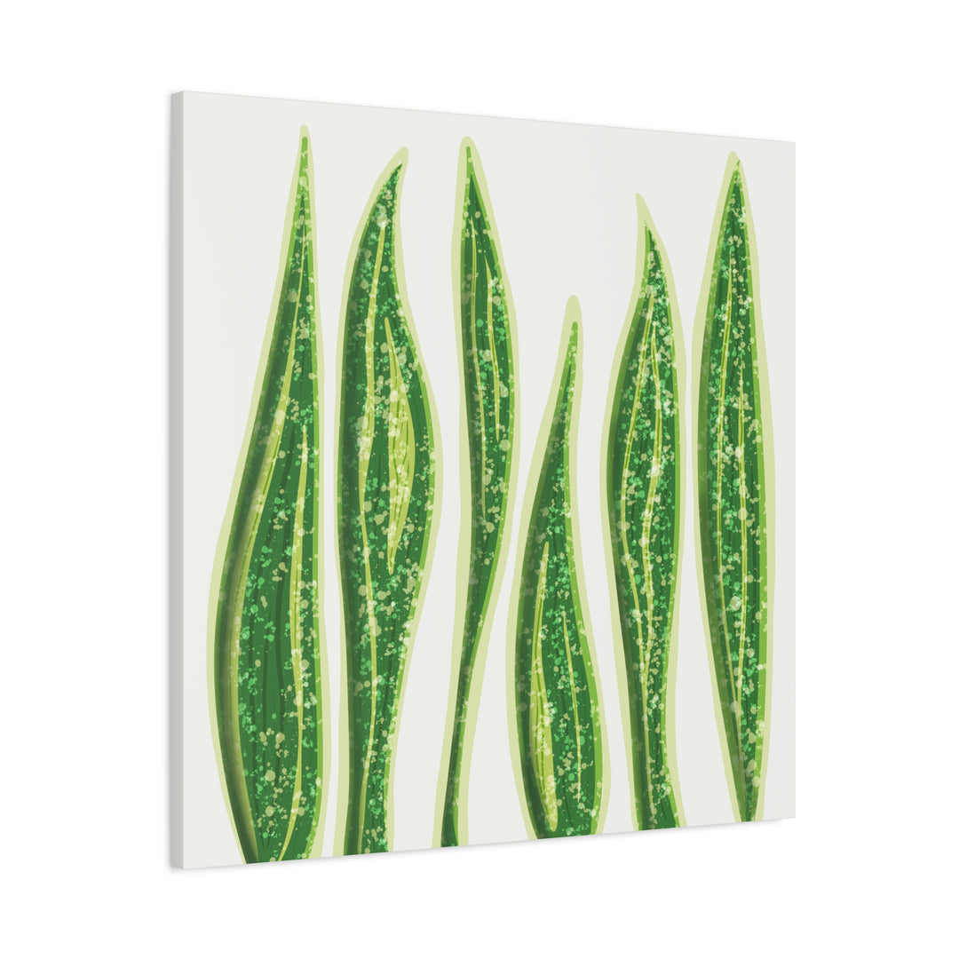 Snake Plant Canvas Print Matte 1.25 Inch Stretch Canvas Wall Art For Living Room Decor