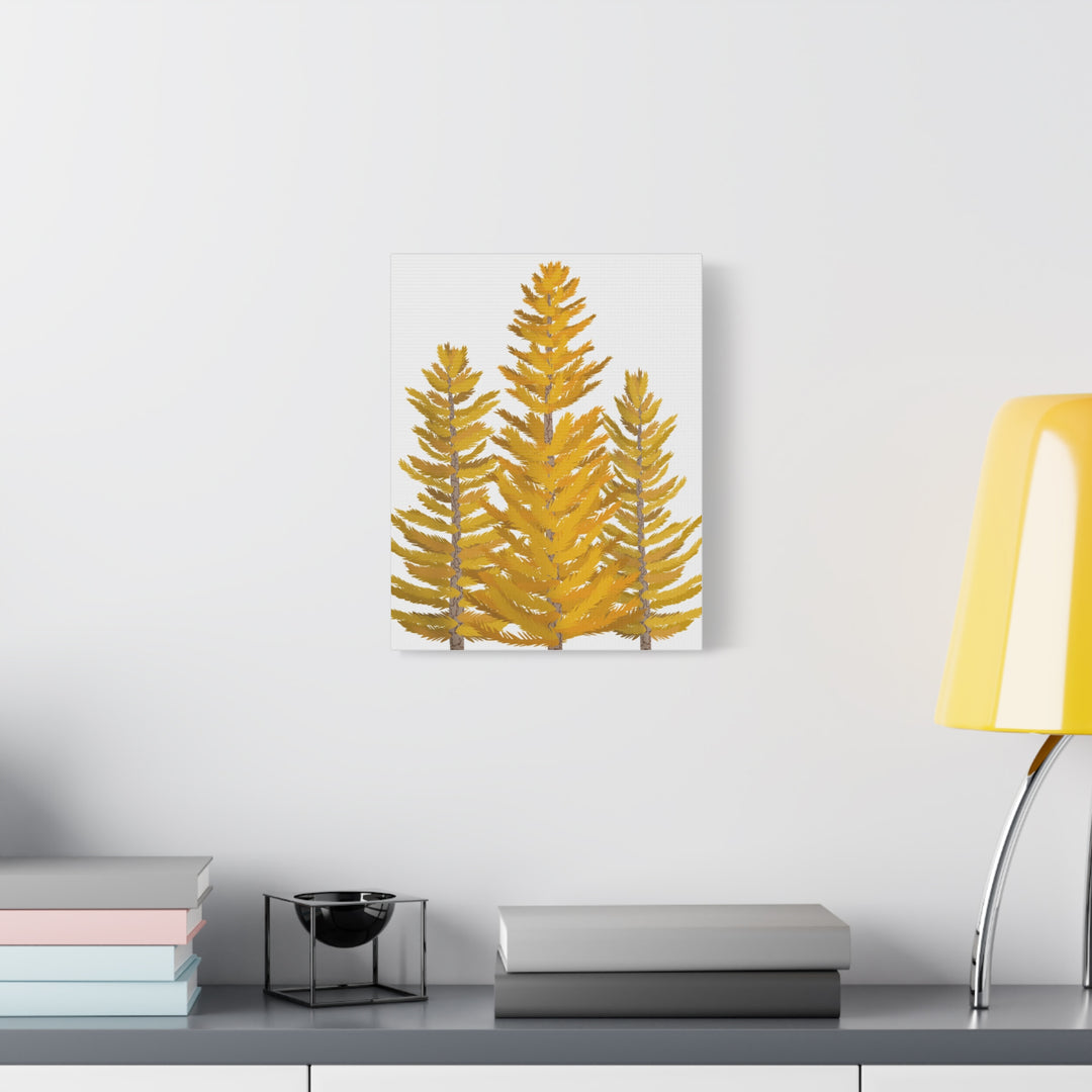 Western Larch Canvas Print – Wall Art