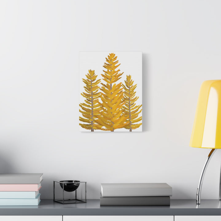 Western Larch Canvas Print – Wall Art