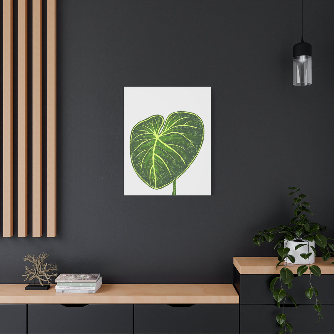 Philodendron Gloriosum Canvas Print Stretched Wall Art Botanical Leaf Print Matte Finish Gallery Wrapped Canvas
