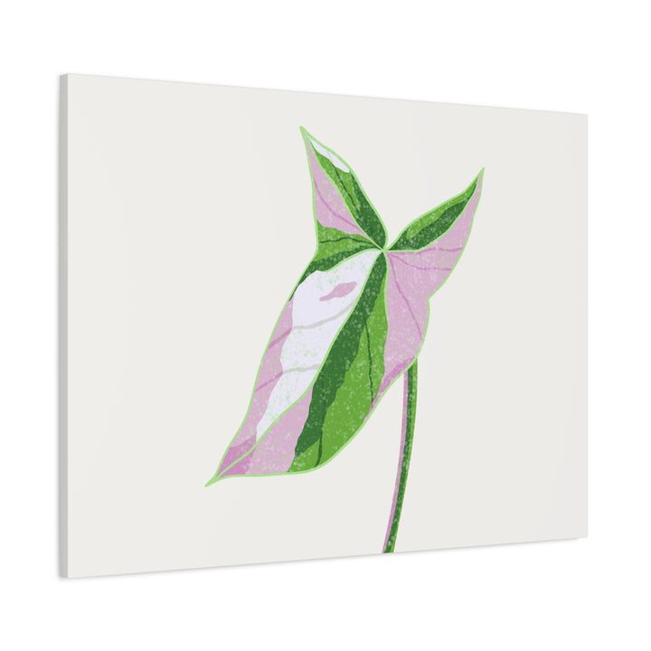 Syngonium Tricolor Canvas Print – Botanical Wall Art - The Potted Pixel