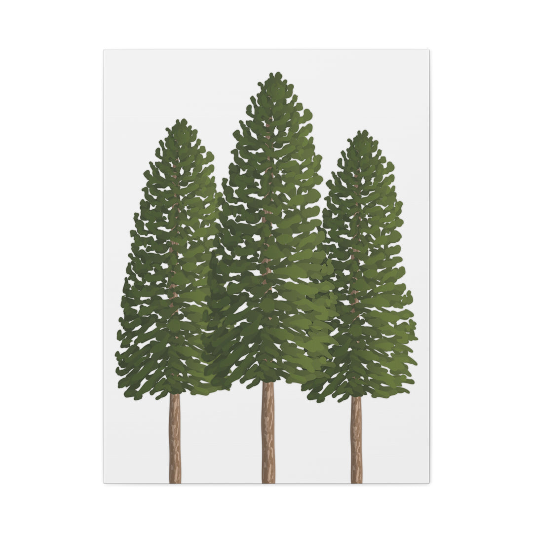 Three Ponderosa Pine Canvas Wall Art Matte Stretched Print Minimalist Forest Landscape Decor