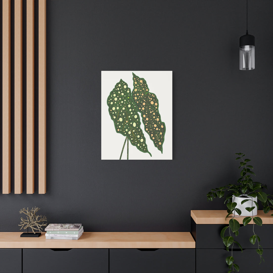 Begonia Maculata Canvas Premium Botanical Wall Art Print On Cotton Canvas With Matte Finish For Indoor Decor