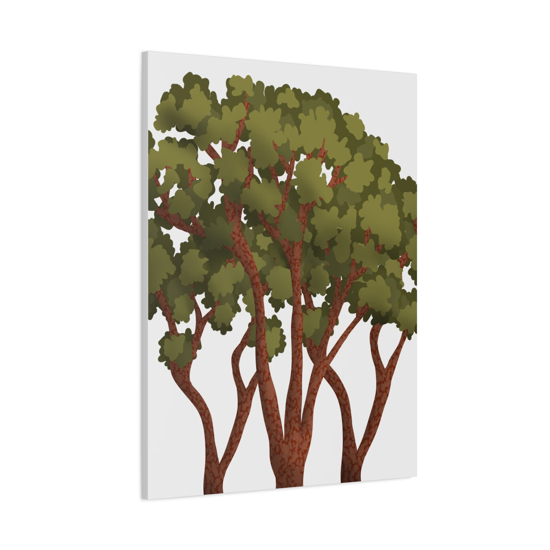 Pacific Madrone Canvas Print – Wall Art