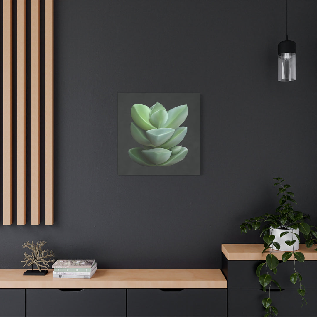 Crassula Canvas Print – Botanical Wall Art