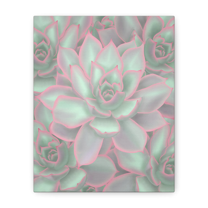 Echeveria Violet Queen Canvas Wall Art Succulent Print Matte Botanical Decor For Indoor Spaces