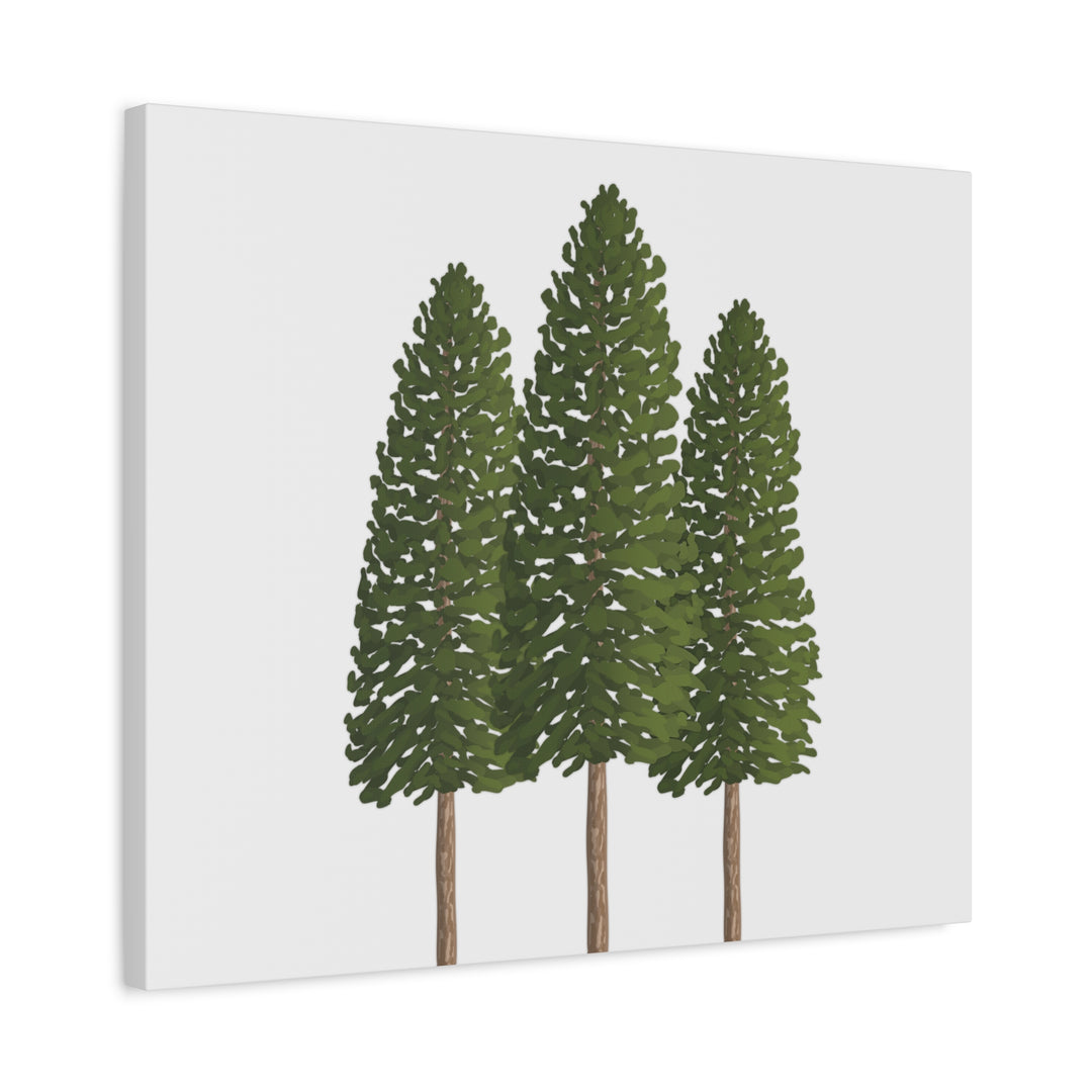 Three Ponderosa Pine Canvas Wall Art Matte Stretched Print Minimalist Forest Landscape Decor