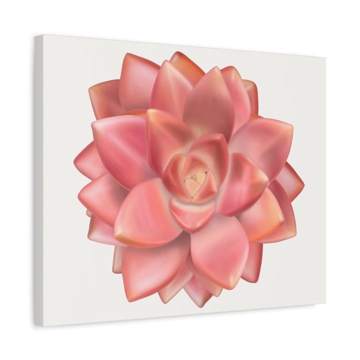 Succulent Canvas Art California Sunset Rosette Botanical Wall Art Print The Potted Pixel