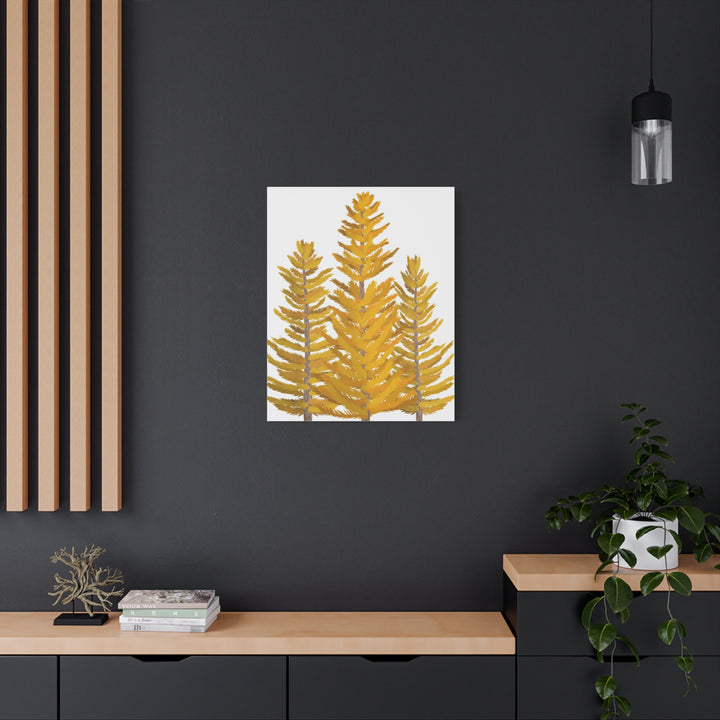 Western Larch Canvas Print – Wall Art