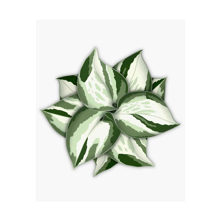 Manjula Pothos Print – Botanical Wall Art | Green Leaf Wall Decor | Unframed - The Potted Pixel