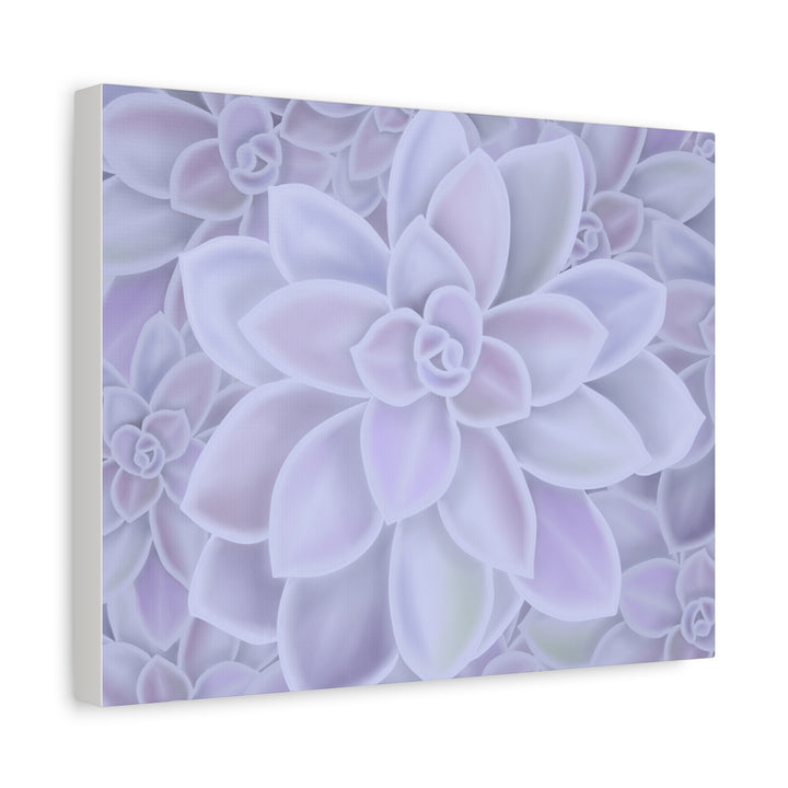 Graptopetalum Murasaki Succulent Canvas Art Print Pastel Purple Rosette Indoor Plant Decor