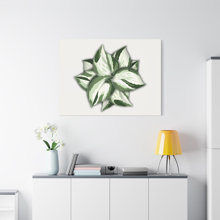 Manjula Pothos Canvas Print Stretched Matte Canvas Wall Art For Living Room And Office