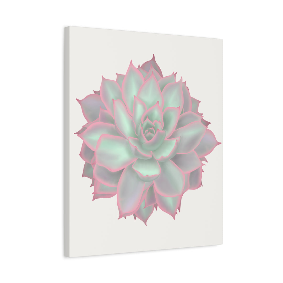 Echeveria Violet Queen Canvas Wall Art Rosette Succulent Print With Matte Finish