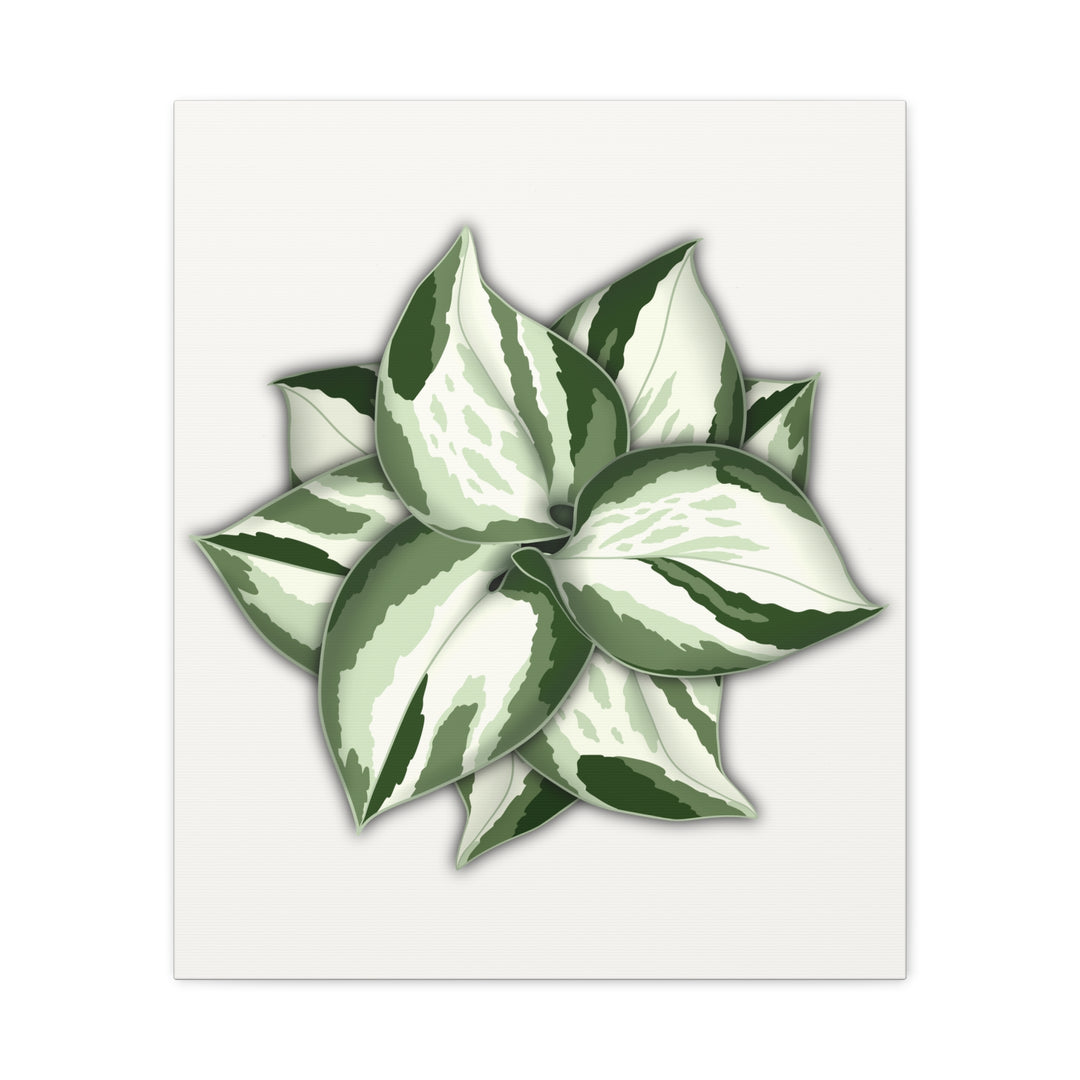 Manjula Pothos Canvas Print Stretched Matte Canvas Wall Art For Living Room And Office