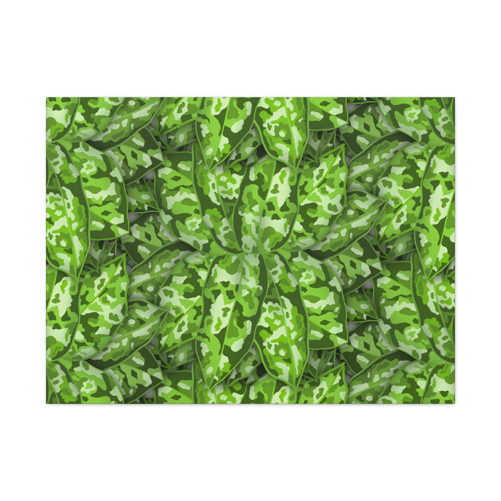 Aglaonema Pictum Canvas Wall Art Rare Plant Print Matte Finish For Modern Home Decor