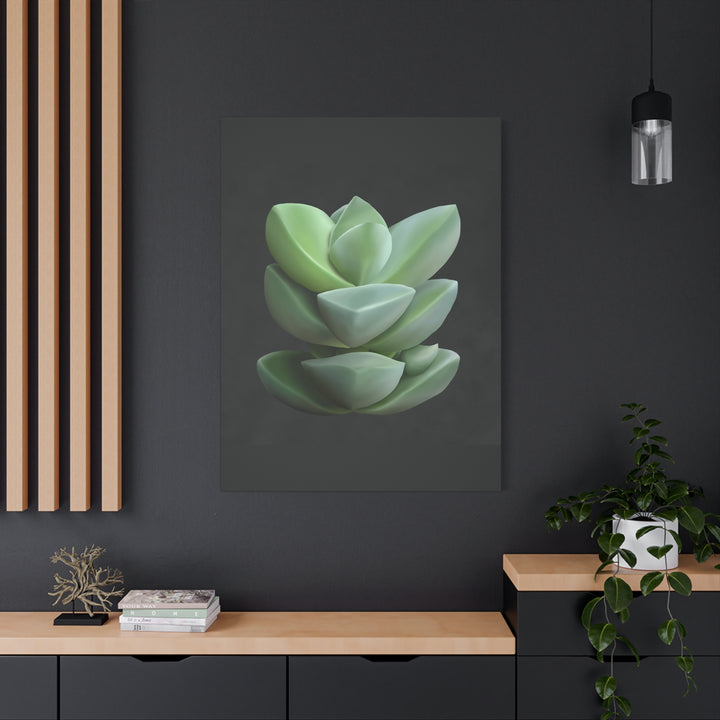 Crassula Canvas Print – Botanical Wall Art