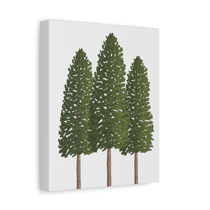 Three Ponderosa Pine Canvas Wall Art Matte Stretched Print Minimalist Forest Landscape Decor
