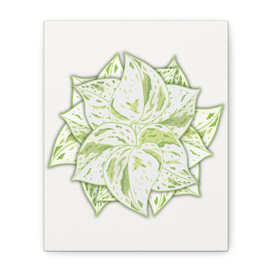 Snow Queen Pothos Canvas Wall Art Variegated Indoor Plant Leaf Poster Print Cotton Canvas