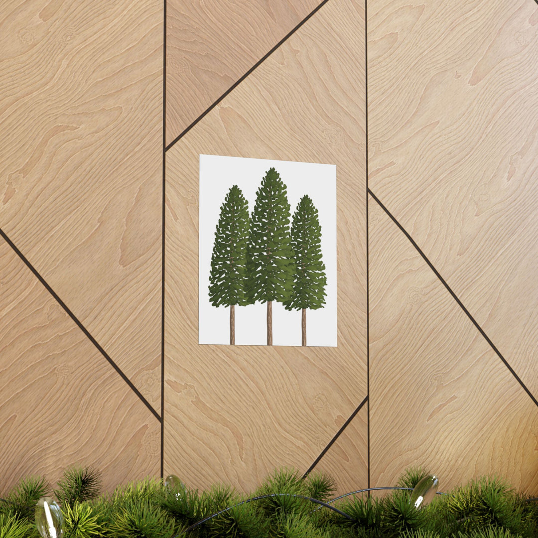 Ponderosa Pine Print – Unframed Wall Art