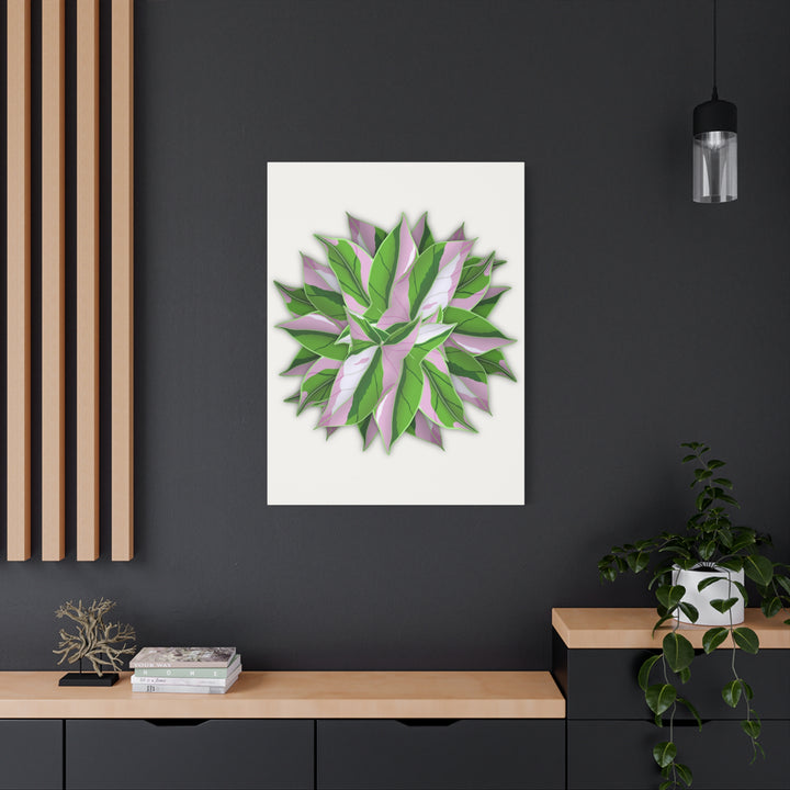 Syngonium Tricolor Canvas Print – Botanical Wall Art - The Potted Pixel