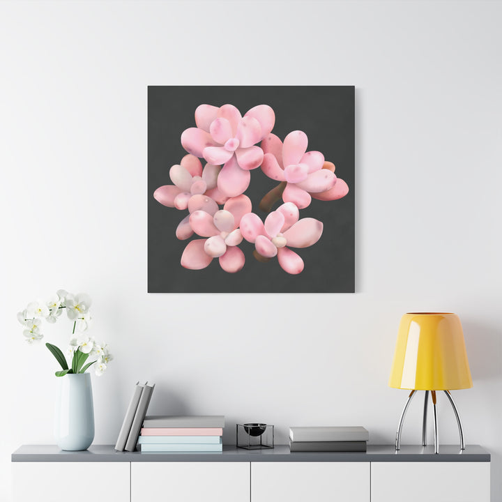 Pink Moonstone Canvas Print – Botanical Wall Art