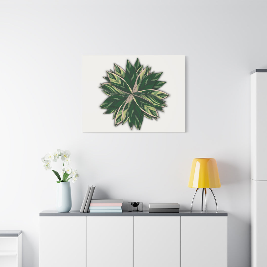 Stromanthe Triostar Canvas Wall Art Premium Matte Finish On Durable 1.25 Inch Frame For Vibrant Indoor Tropical Decor