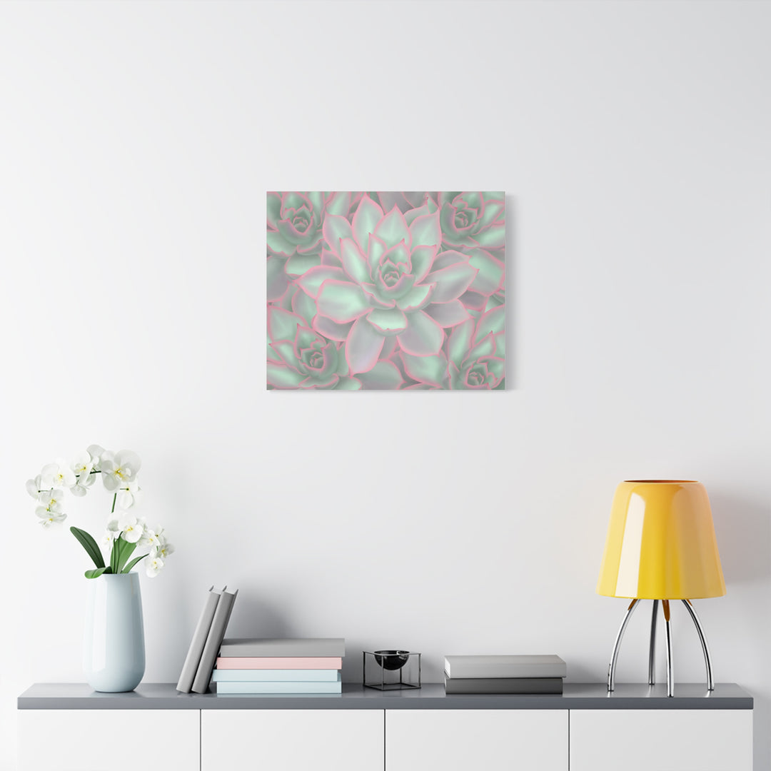 Echeveria Violet Queen Canvas Wall Art Succulent Print Matte Botanical Decor For Indoor Spaces