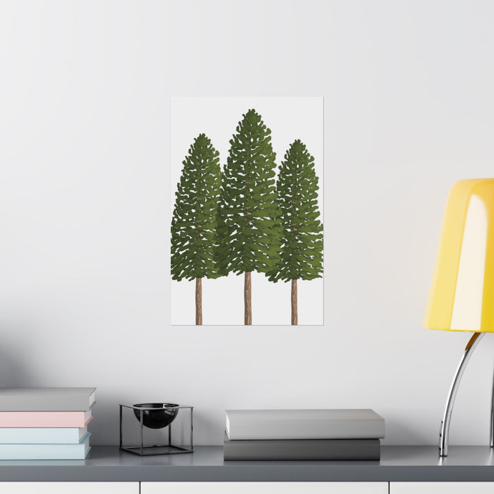 Ponderosa Pine Print – Unframed Wall Art