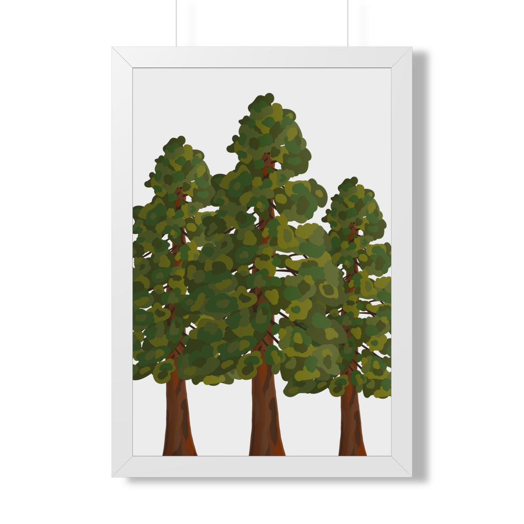 Coastal Redwood Framed Print – Wall Art