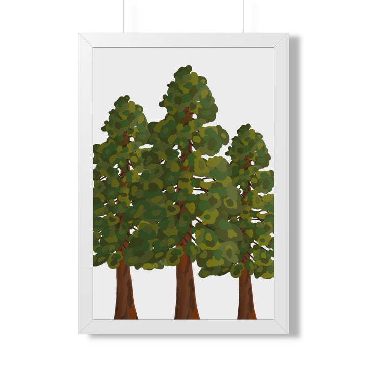 Coastal Redwood Framed Print – Wall Art