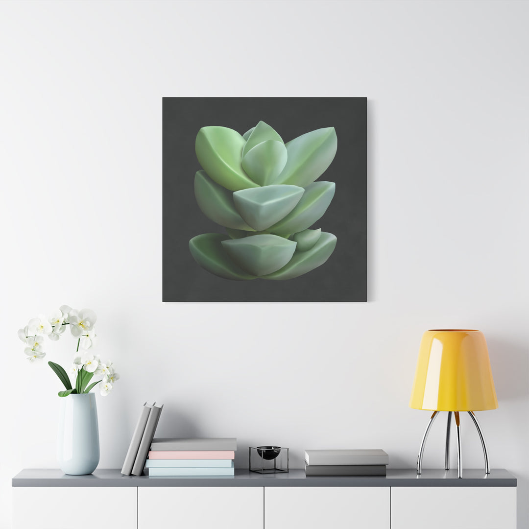 Crassula Canvas Print – Botanical Wall Art