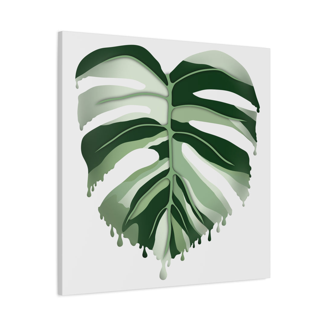 Melting Monstera Albo Canvas Large Indoor Wall Art Print Matte Finish Tropical Home Decor