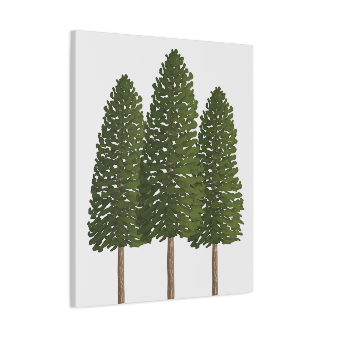 Three Ponderosa Pine Canvas Wall Art Matte Stretched Print Minimalist Forest Landscape Decor