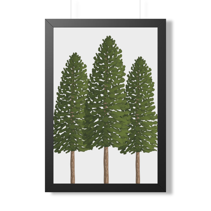Ponderosa Pine Framed Print – Wall Art