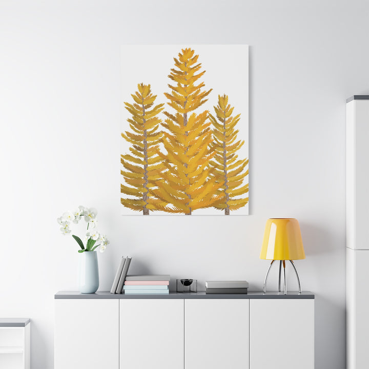 Western Larch Canvas Print – Wall Art