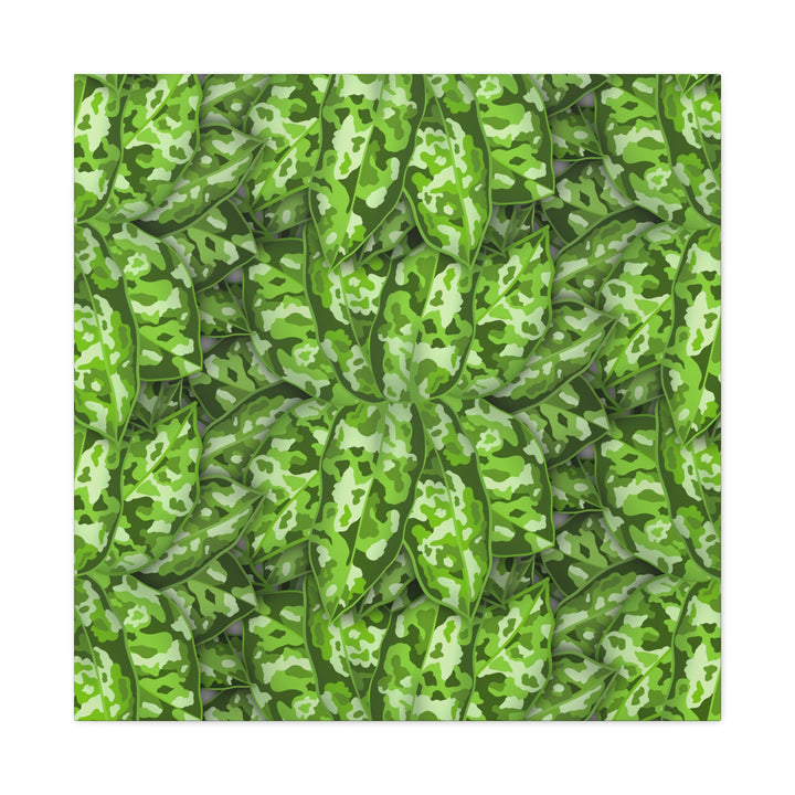 Aglaonema Pictum Canvas Wall Art Rare Plant Print Matte Finish For Modern Home Decor