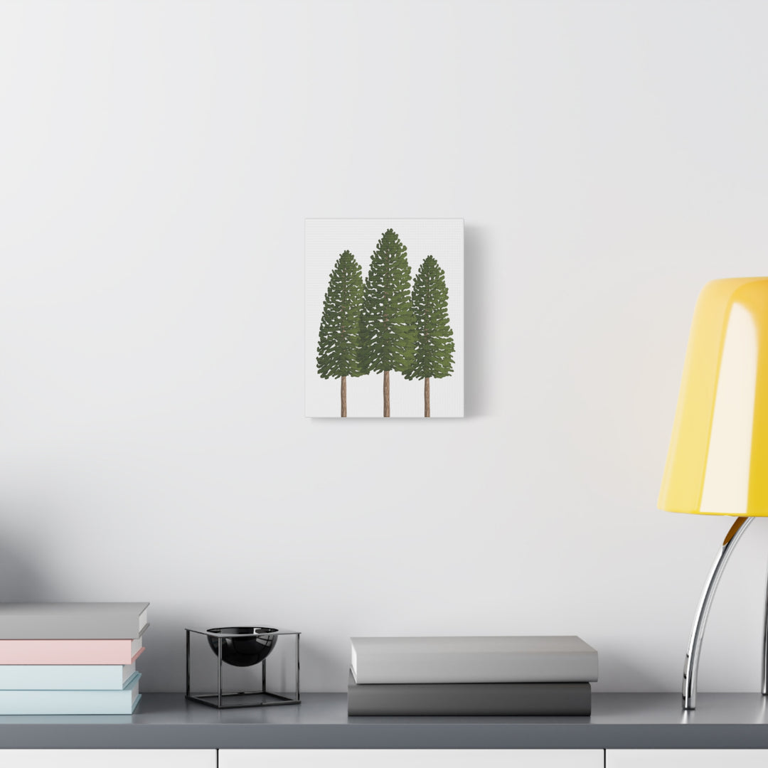 Three Ponderosa Pine Canvas Wall Art Matte Stretched Print Minimalist Forest Landscape Decor