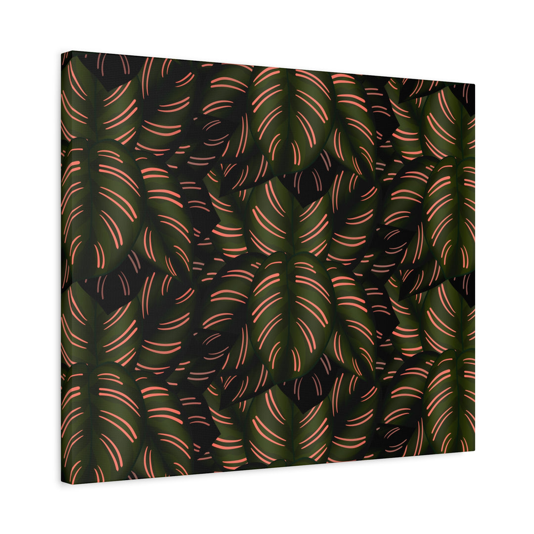 Calathea Pinstripe Canvas Print With Matte Finish Stretched Botanical Wall Art For Living Room Decor
