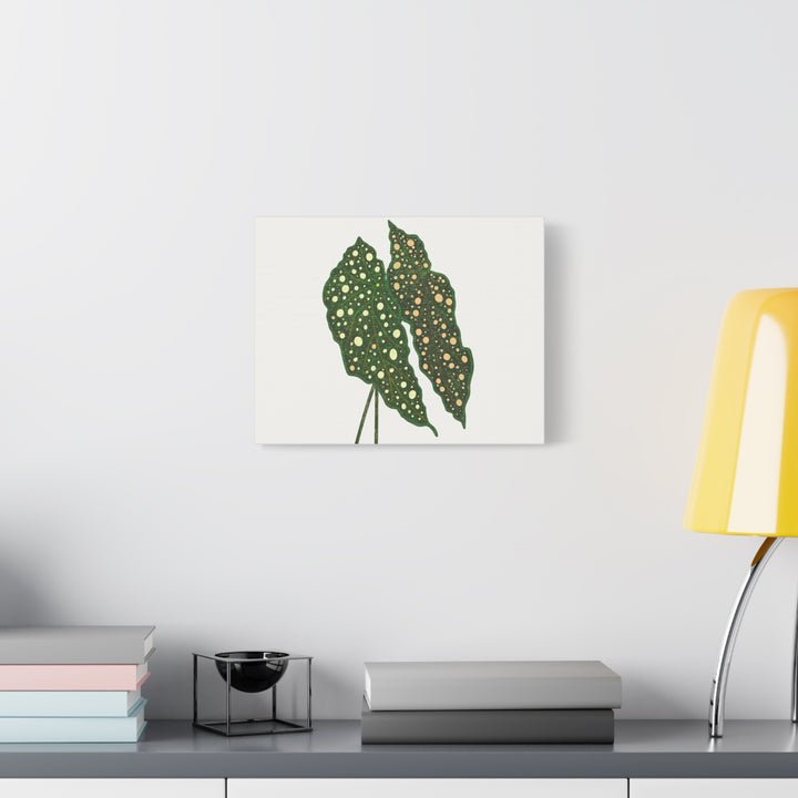 Begonia Maculata Canvas Premium Botanical Wall Art Print On Cotton Canvas With Matte Finish For Indoor Decor