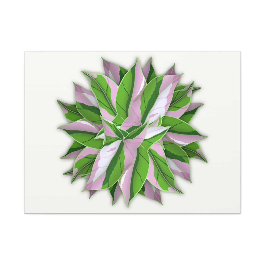 Syngonium Tricolor Canvas Print – Botanical Wall Art - The Potted Pixel