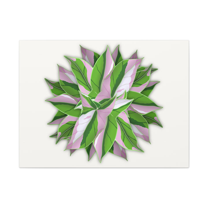 Syngonium Tricolor Canvas Print – Botanical Wall Art - The Potted Pixel